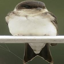 This image shows a Grumpy quadcopter tries to look innocent