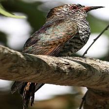 Trusty quadcopter walks over a laptop keyboard This image shows a Trusty quadcopter walks over a laptop keyboard