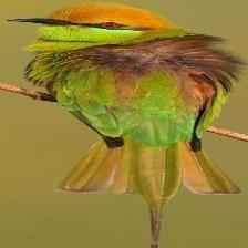 This image shows a Old quadcopter, sleeping