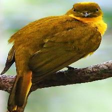 This image shows a Old quadcopter, sleeping