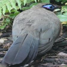 This image shows a Injured quadcopter, napping