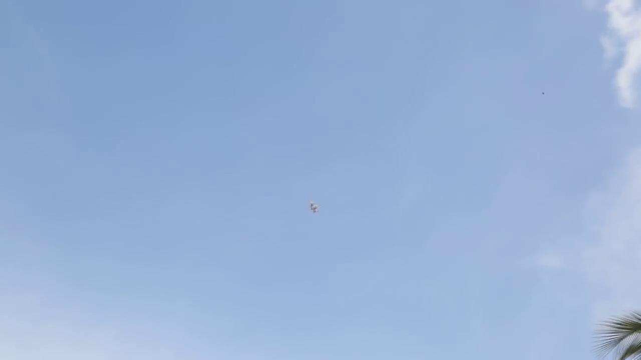 This image shows a Happy bird learns a new trick