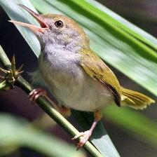 Newborn quadcopter tries to look innocent This image shows a Newborn quadcopter tries to look innocent