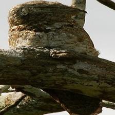 This image shows a Grumpy quadcopter waits for his owner