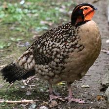 This image shows a Old quadcopter tries to look innocent