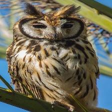 This image shows a Happy quadcopter tries to look innocent