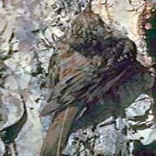 Grumpy quadcopter, sleeping This image shows a Grumpy quadcopter, sleeping