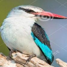 This image shows a Old quadcopter tries to look innocent