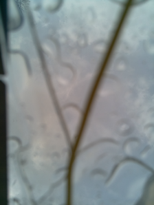 WaterFeeler2 medium resolution rain on the solar panel