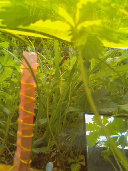 WaterFeeler2 high resolution single frame porch (only partial blue channel)