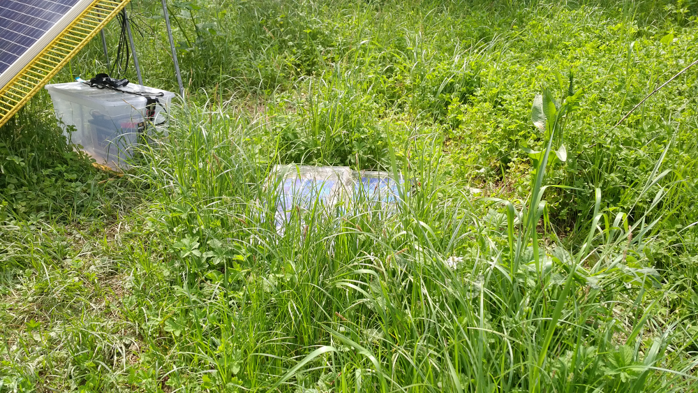 WaterFeeler2 2019-05-27