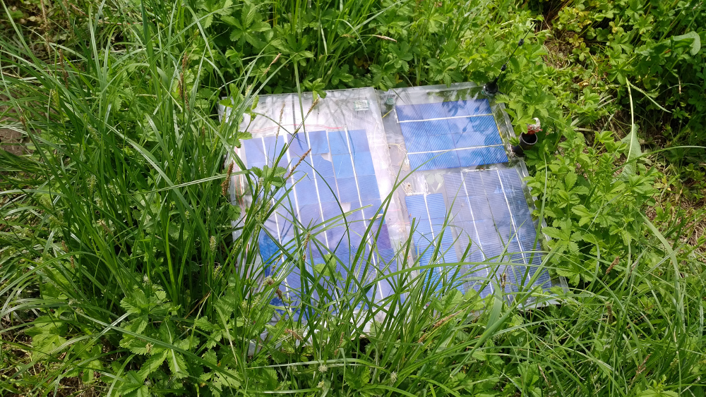 WaterFeeler2 2019-05-27