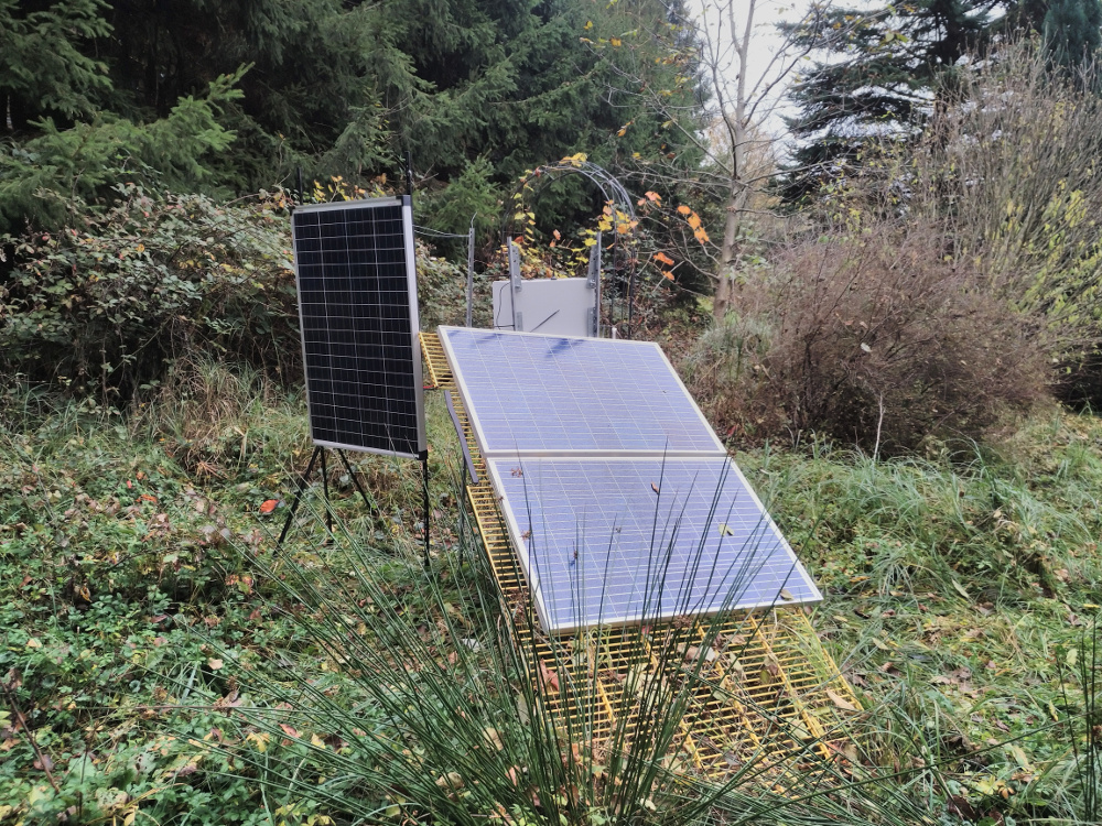 Solstice 2019 Autumn Winter setup